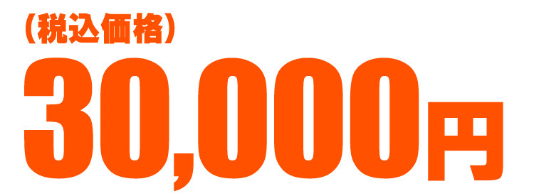 30,000円(税込)