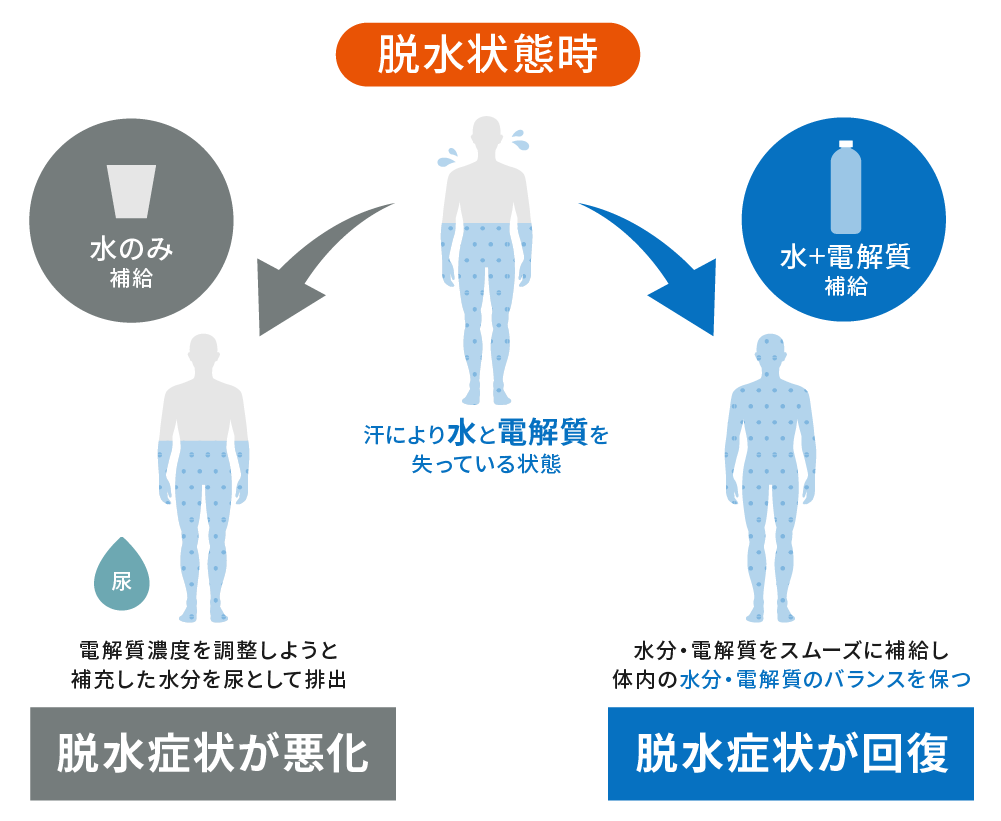 電解質飲料の重要性